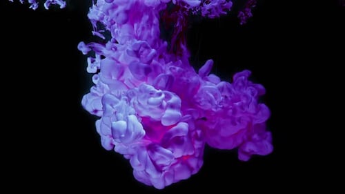 Purble INK Black Background