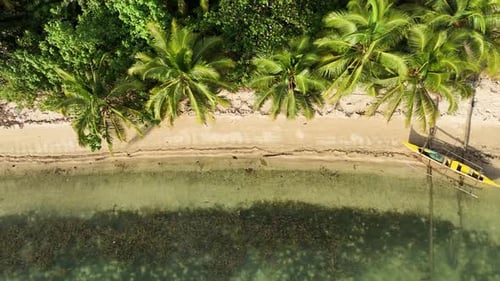 Secluded Tropical Beach in the Philippines: Yellow Boat, Palm Trees, and Pristine Shoreline
