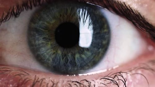 Slowmotion lose up macro shots of blue - green - yellowish eye reacting to light around it. Very det
