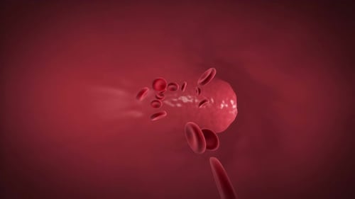 Red Blood Cells Flowing Through Human Artery Tunnel