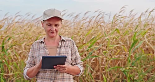 Portrait of a Woman Farmer Working with a Tablet Against the Backdrop of a Field of Ripe Yellow Corn