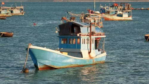 Fishing Boats are Anchored in the Bay During Late Afternoon with Clear Blue Water and a Distant