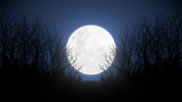Big Full Moon Forest in the moonlight LOOP 4k, Nature Stock Footage ft ...