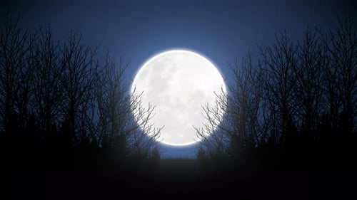 Big Full Moon Forest in the moonlight LOOP 4k
