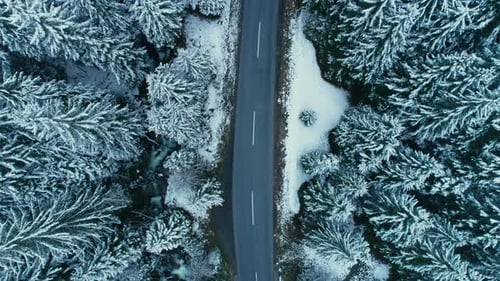 Drone sobrevoa estrada de asfalto nevada de inverno na floresta