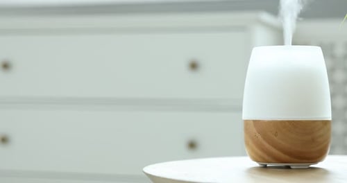 Aroma Diffuser Vaporizing on Table Indoors with Potted Plant