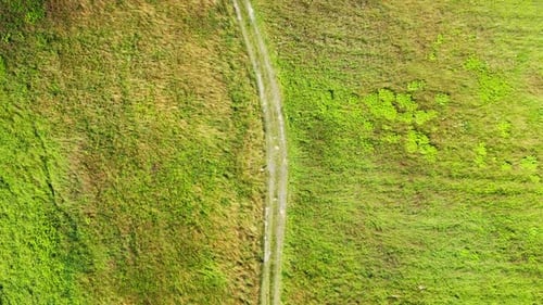 Country road between beautiful colorful autumn fields aerial view
