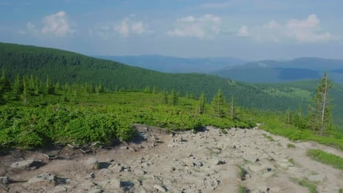 A Path in the Mountains Goes Down Against a Backdrop of Mountains Covered in Woods Steadicam Shot