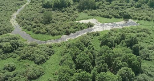 Nature Aerial View River Valley Beautiful View From Height of the Rivers Swamps and Green Forests