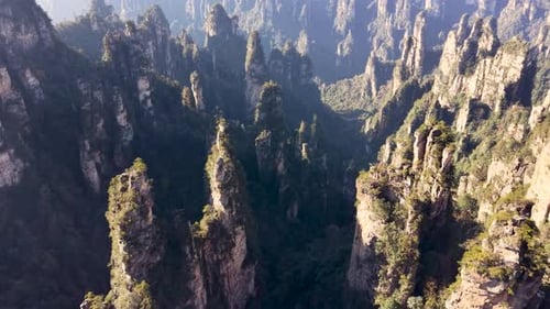 Aerial flying over deep canyon filled with tall green-covered rock pillars, Zhangjiajie National
