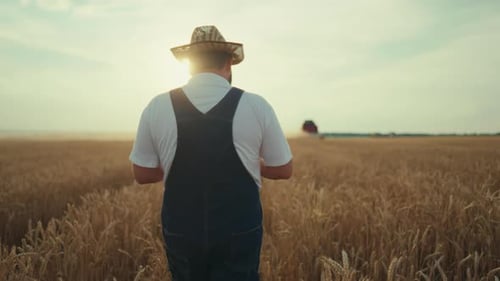 Beautiful Rural Scenery Farmer Walking in Golden Field Harvesting Machinery Agriculture Technology