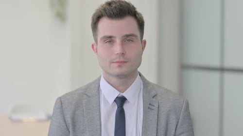 Portrait of Serious Young Businessman Looking at the Camera