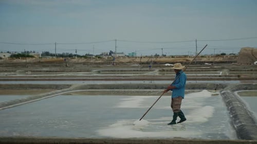 Old Asian Laborer in Hat Rakes Salt with Wooden Tool in Evaporation Field