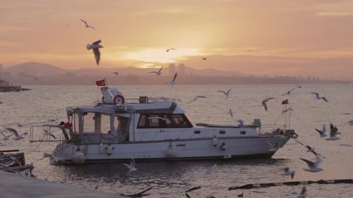 Fishing Boat Coming Back to the Harbour at Sunset