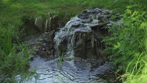 Pond with stone waterfall. Flowing water. Tall swinging grass. Summer evening. Slow motion .