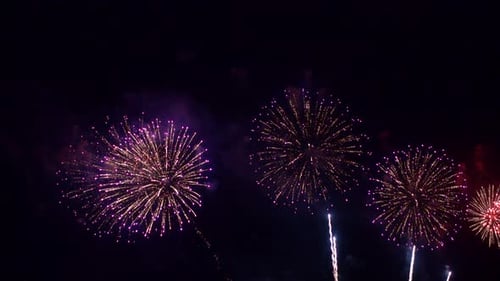 Vivid Fireworks Exploding in the Night Sky