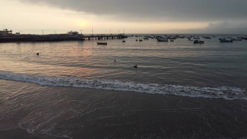 Drone video of the ocean shore with boats and a pier in the distance. A few pelicans floating on sho
