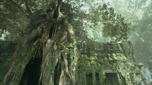 Vivid Scene of Old Stone Temple Nestled Within Massive Banyan Tree Roots