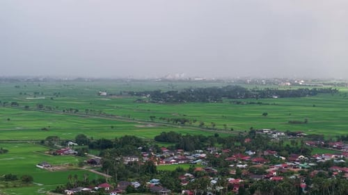 Aerial view of paddy fields and village settlement
