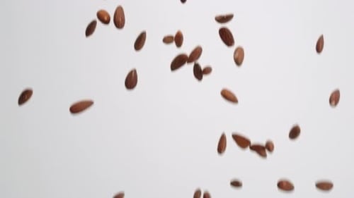 Falling Almonds Against a White Background