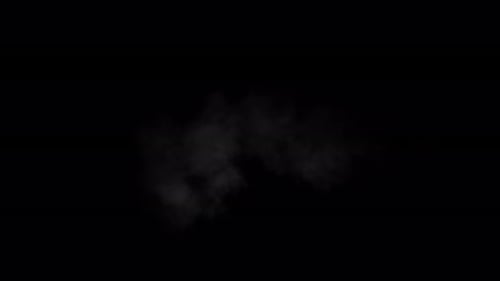 Fluid Smoke Dust Logo Reveal Intro Animation