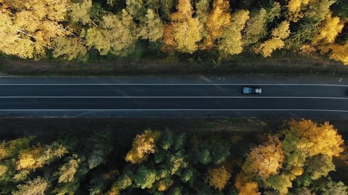 Top Down View of a Car Road in the Autumn Forest Cars Drive Along the Road