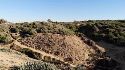 Rolling Hills Landscape with Greenery and Trails