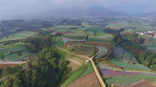 Drone footage of scenic farmland with layered terraces and vibrant greenery in the countryside.
