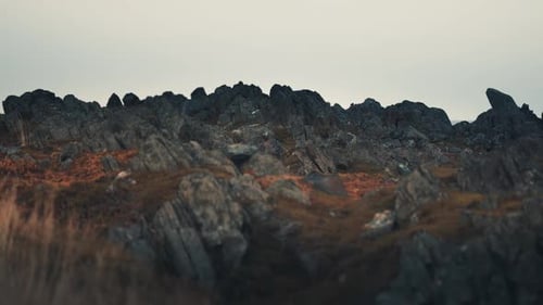 An outlandish landscape of the Varanger coast. Dark jagged stones covered with patches of reddish mo
