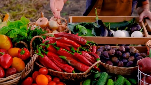 The Farmer Sells Fruits and Vegetables at the Farmers Market Selective Focus