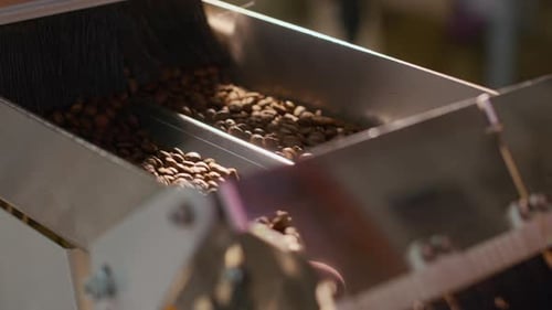 Coffee Beans Going Down Inclined Metal Chute, Guided by Brush-Like Component