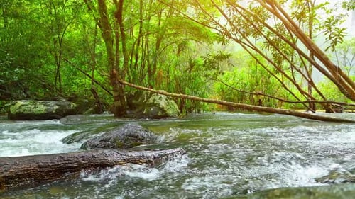 Ein ruhiger Bach stürzt von einem üppigen tropischen Wasserfall herab.