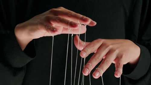 The Puppeteer Controls the Puppets in the Theater Managing People at Work in Politics and Government