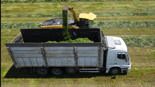 Industrielle Landwirtschaft