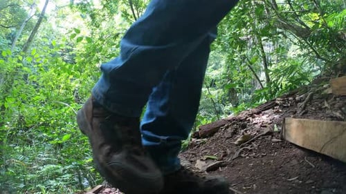 Trekking in forest whit my new leather boots