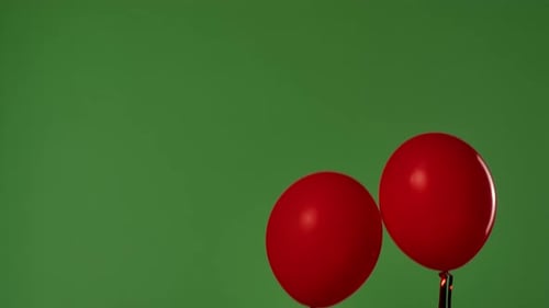 Two Red Helium Balloons with Shiny Ribbons Float Upward Against a Green Background with a Chroma Key