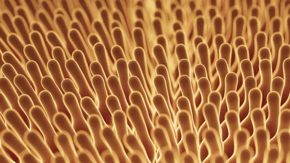 Abstract Textured Surface with Elongated Projections, Backgrounds ...