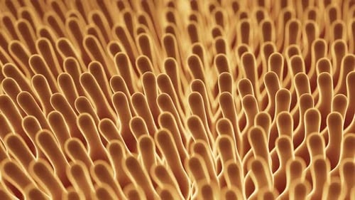 Abstract Textured Surface with Elongated Projections