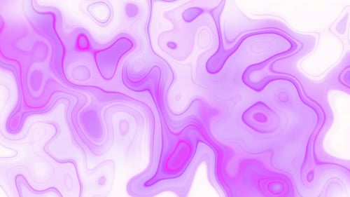 Abstract Fluid Pink Purple Looping Background