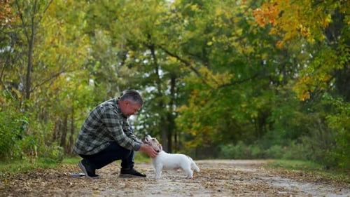 A Man Pets His Small Dog on a Forest Trail on a Sunny Day Green and Yellow Autumn Foliage Creates a
