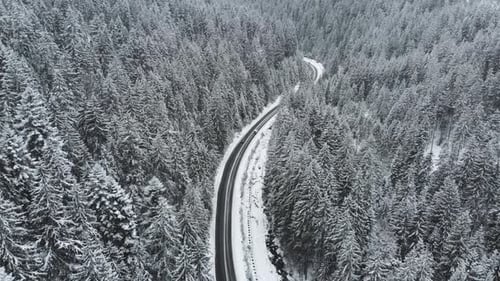 Winter Mountain Road Surrounded By Snowy Trees Aerial View
