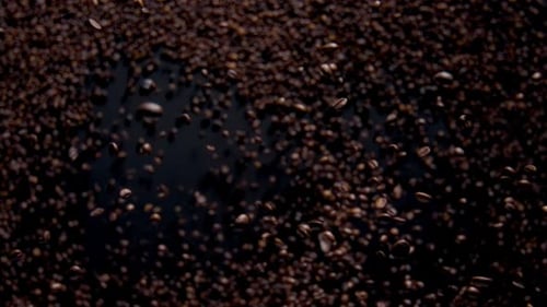Roasted Coffee Beans Falling on Dark Background