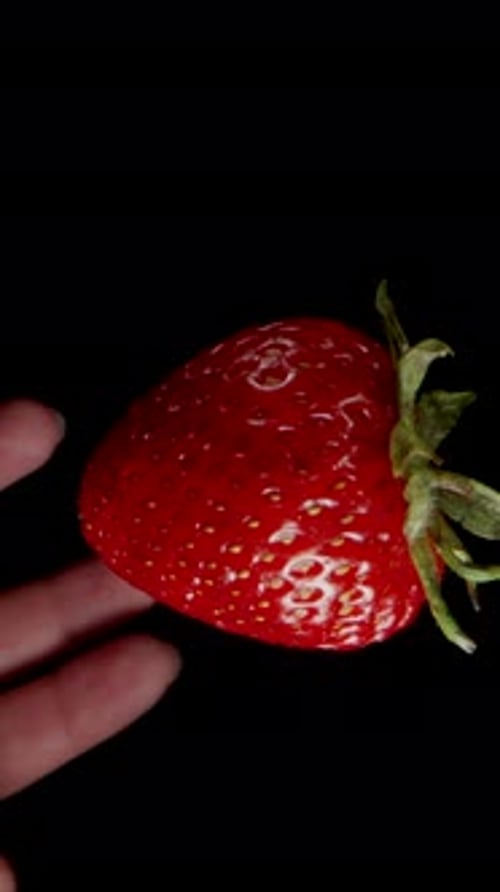 Vertical video. A Strawberry Slowly Rotating Falls into the Palm of a Woman's Hand, Macro Zoom,