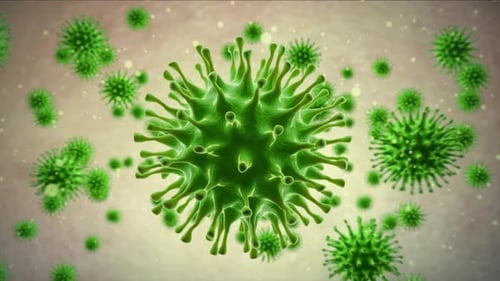 Virus