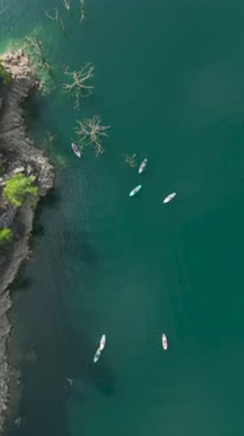 Vertical Video Exploring a Green Canyon By Paddleboard with People Swimming Relaxing and Enjoying