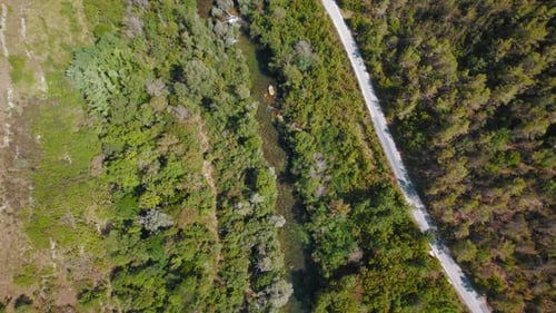 Aerial view of a raft on Cetina river next to a forest road during a summer trip in Croatia.
