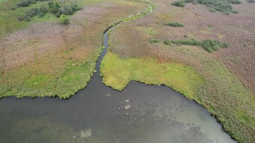Nature Aerial View River Valley Beautiful View From Height of the Rivers and Swamps Green Landscapes