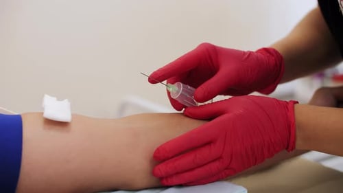 Venous Blood Draw for Diagnostic Testing