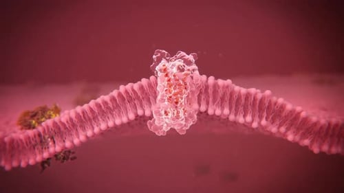 Virus particle interacting with cell membrane in scientific detail