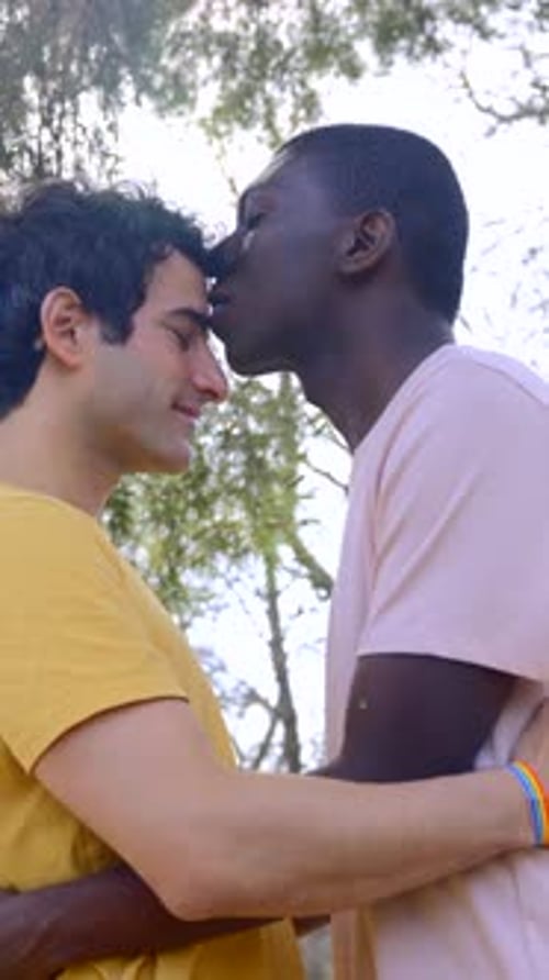 lgbt concept, couple of multiethnic men in a park in a romantic pose